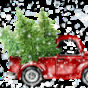 Meet your Posher, Callie